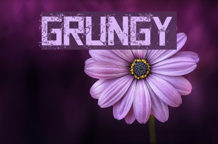 Grungy Font examples