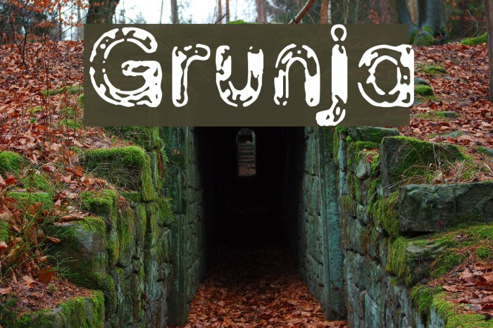 Grunja Font examples