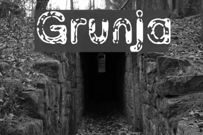 Grunja Font examples