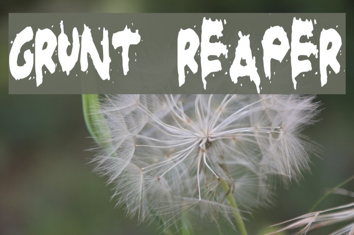 Grunt Reaper Font examples