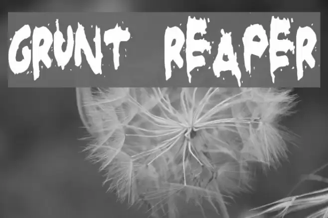 Grunt Reaper Font examples
