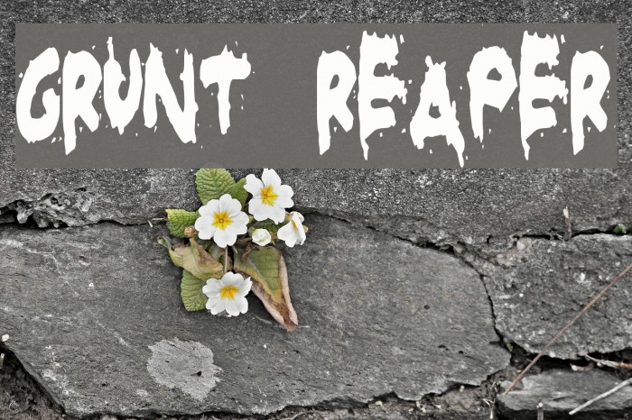 Grunt Reaper Font examples