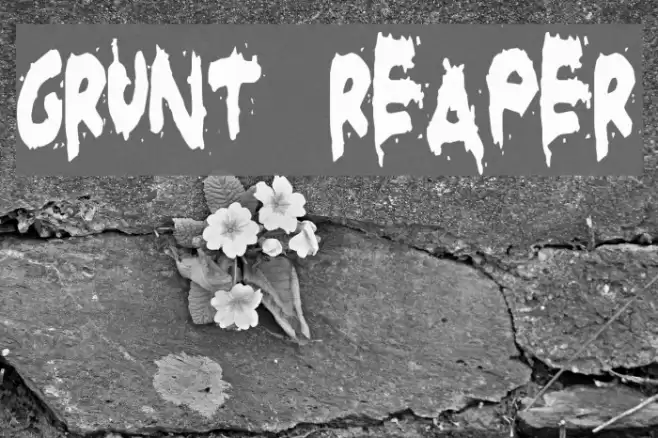 Grunt Reaper Font examples