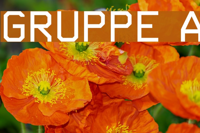 Gruppe A Font examples