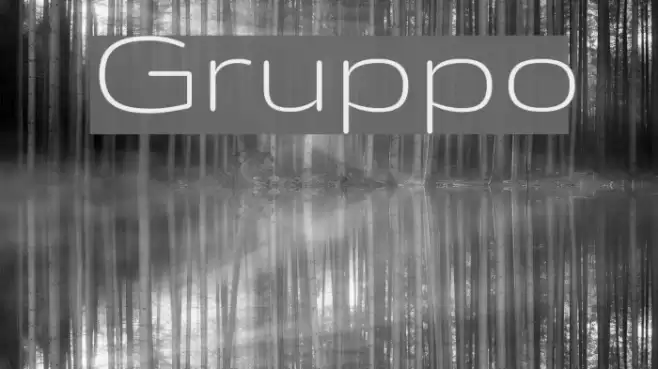 Gruppo Fonte examples
