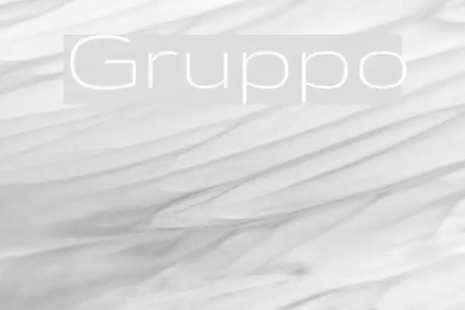 Gruppo Fonte examples