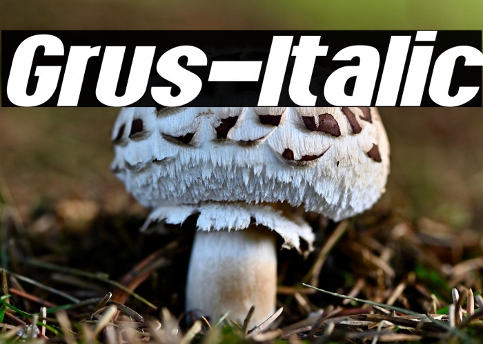 Grus-Italic Example 1