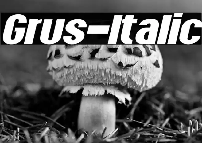 Grus-Italic Font examples