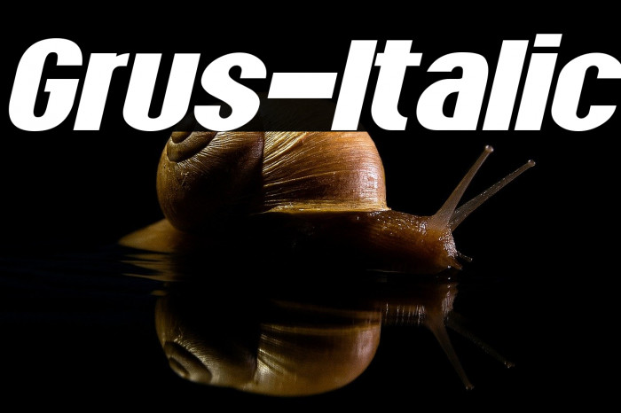 Grus-Italic Example 2