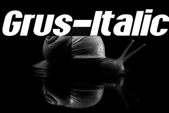 Grus-Italic Font examples