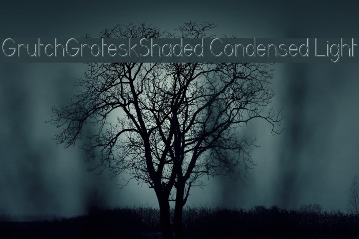 GrutchGroteskShaded Condensed Light Font examples