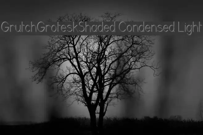 GrutchGroteskShaded Condensed Light Fonte examples