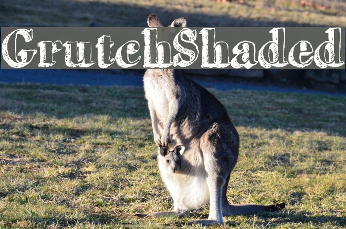 GrutchShaded Font examples