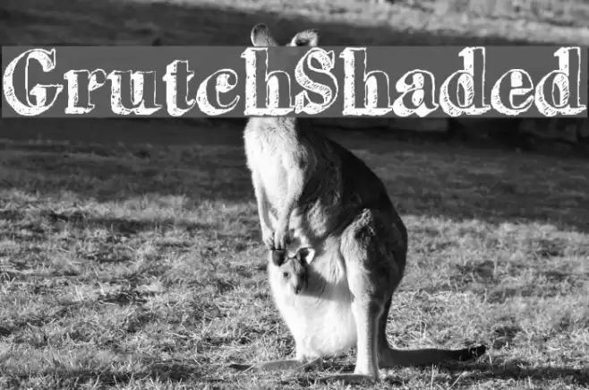 GrutchShaded Font examples