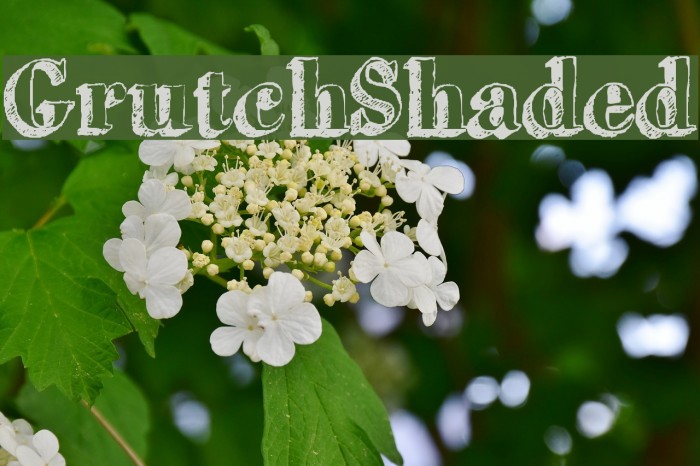 GrutchShaded Font examples