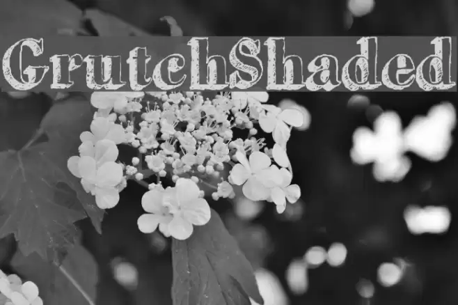 GrutchShaded Font examples