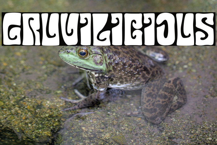 Gruvilicious Example 2