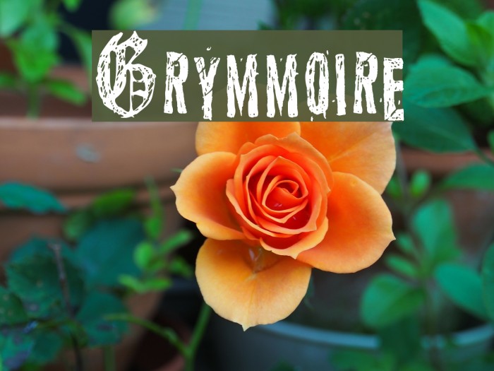 Grymmoire Font examples