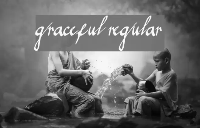graceful regular Font examples