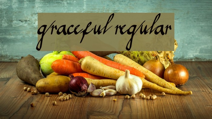 graceful regular Font examples