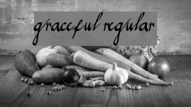 graceful regular Font examples