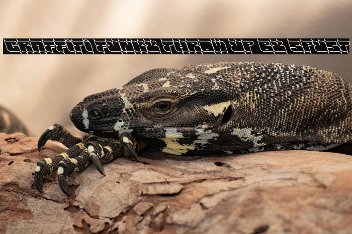 graffiti funky throw up by spust Example 2