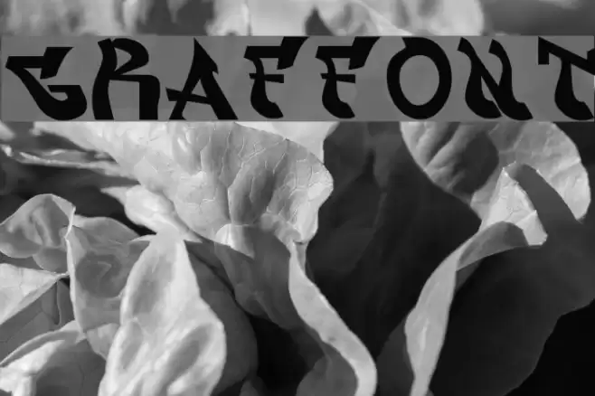 graffont Font examples