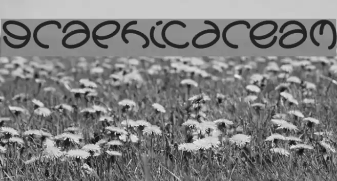 graphicdream Font examples