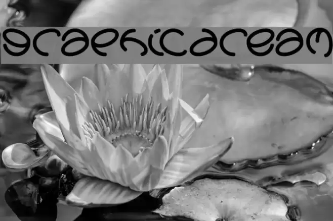 graphicdream Font examples