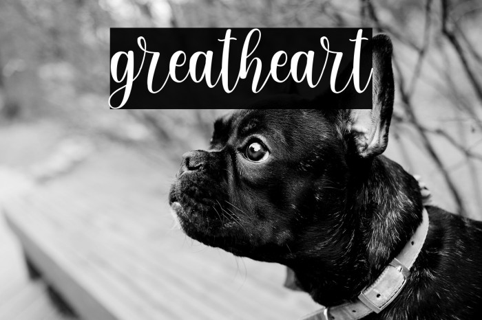 greatheart Example 3