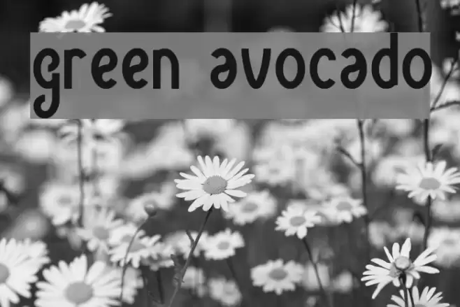 green avocado Font examples