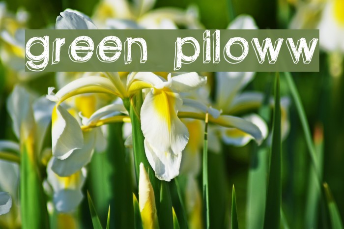 green piloww Font examples