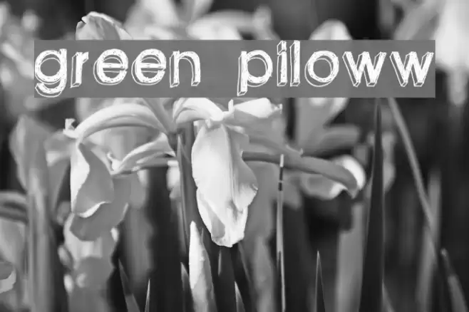 green piloww Fuentes examples