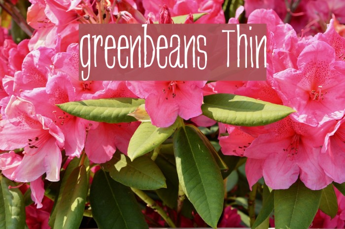 greenbeans Thin Font examples
