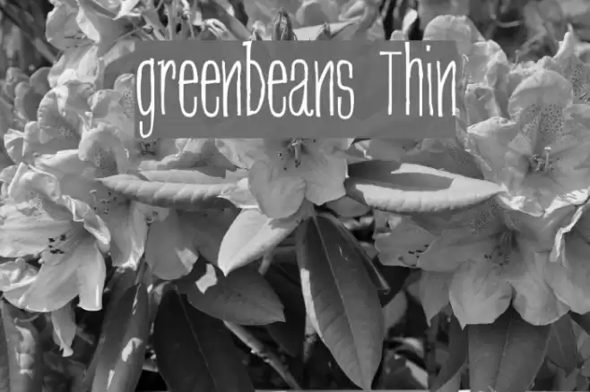 greenbeans Thin Polices examples