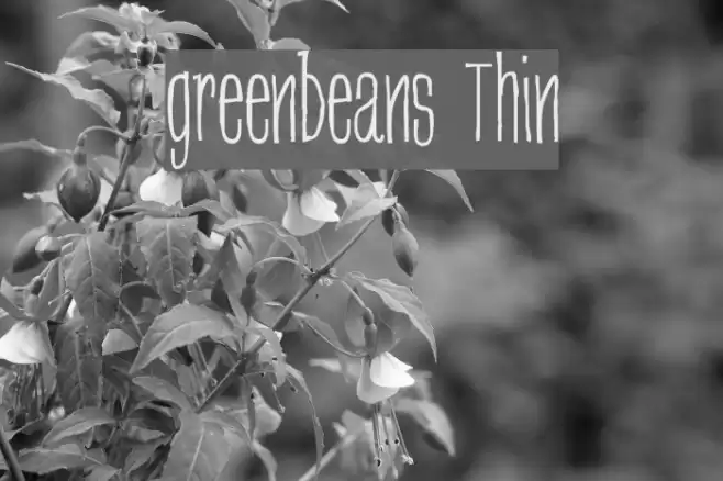 greenbeans Thin Polices examples