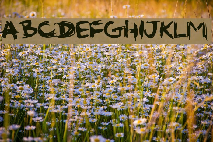 gribouille 1 Example 1