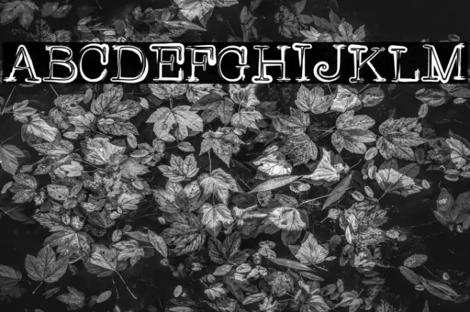 griffin Font examples