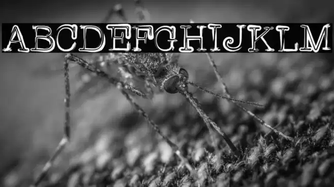 griffin Font examples