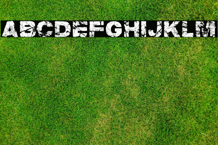 groOvEd PERSONAL USE Regular Example 3