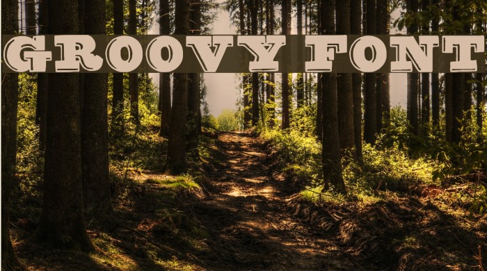 groovy font Font examples