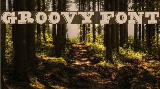groovy font Example 1