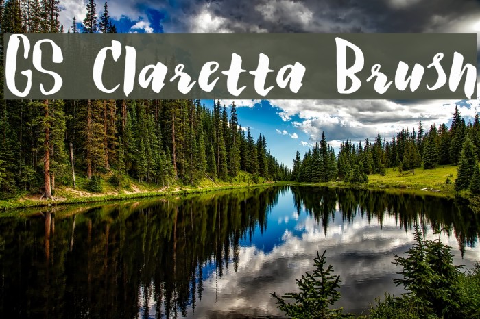 GS Claretta Brush Font examples
