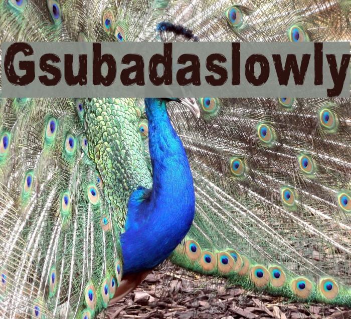 Gsubadaslowly Font examples