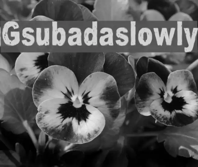 Gsubadaslowly Font examples