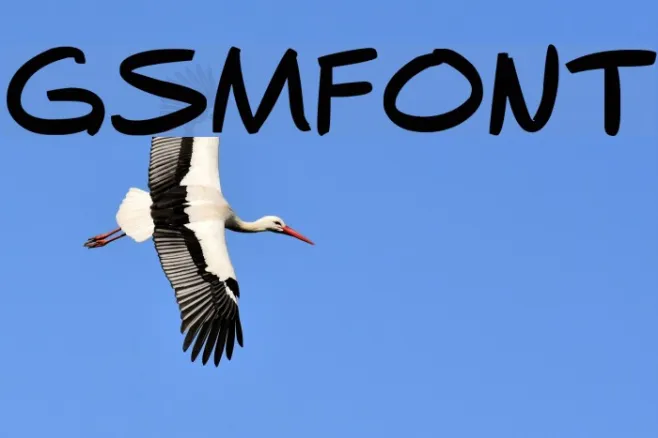 gsmfont Example 1