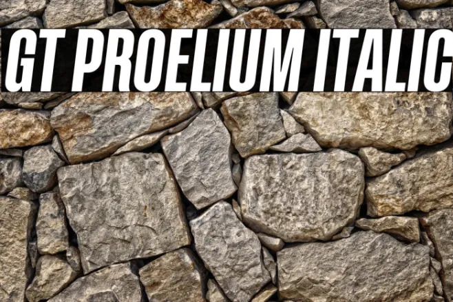 GT Proelium Italic Example 1
