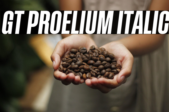 GT Proelium Italic Example 3