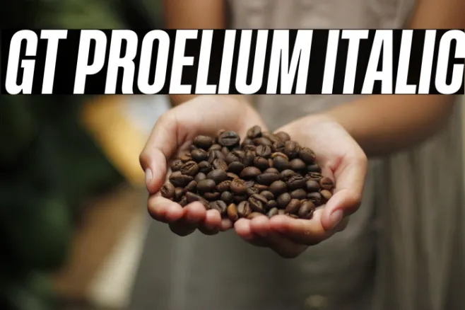 GT Proelium Italic Example 3