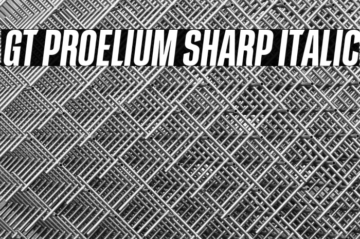 GT Proelium Sharp Italic Example 1